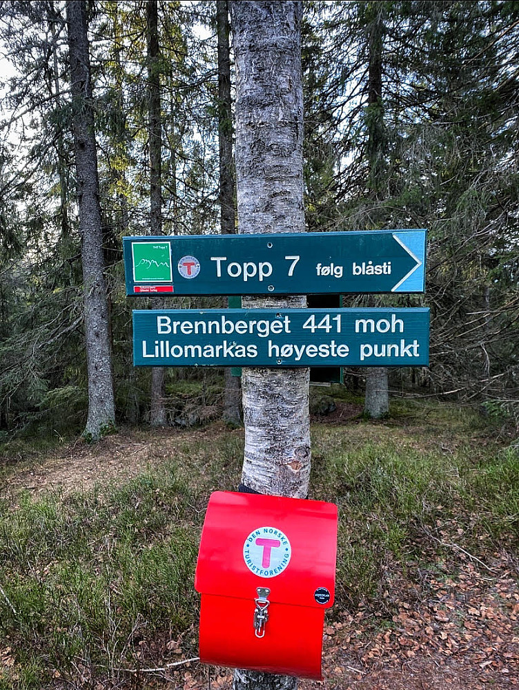 Brennberget