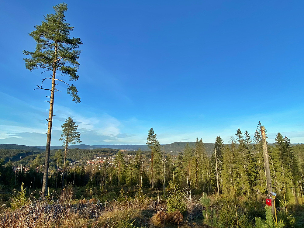 Skysethøgda