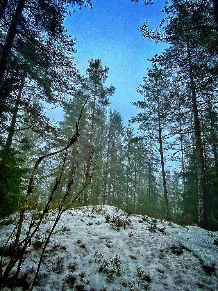 Flaberget