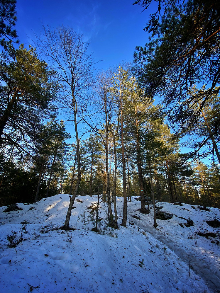 Skjettenåsen