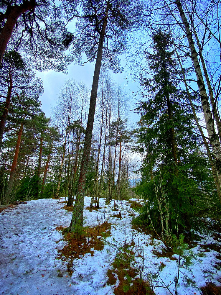 Lachmannsåsen