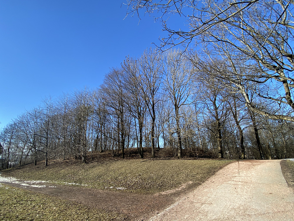 Madserudhaugen