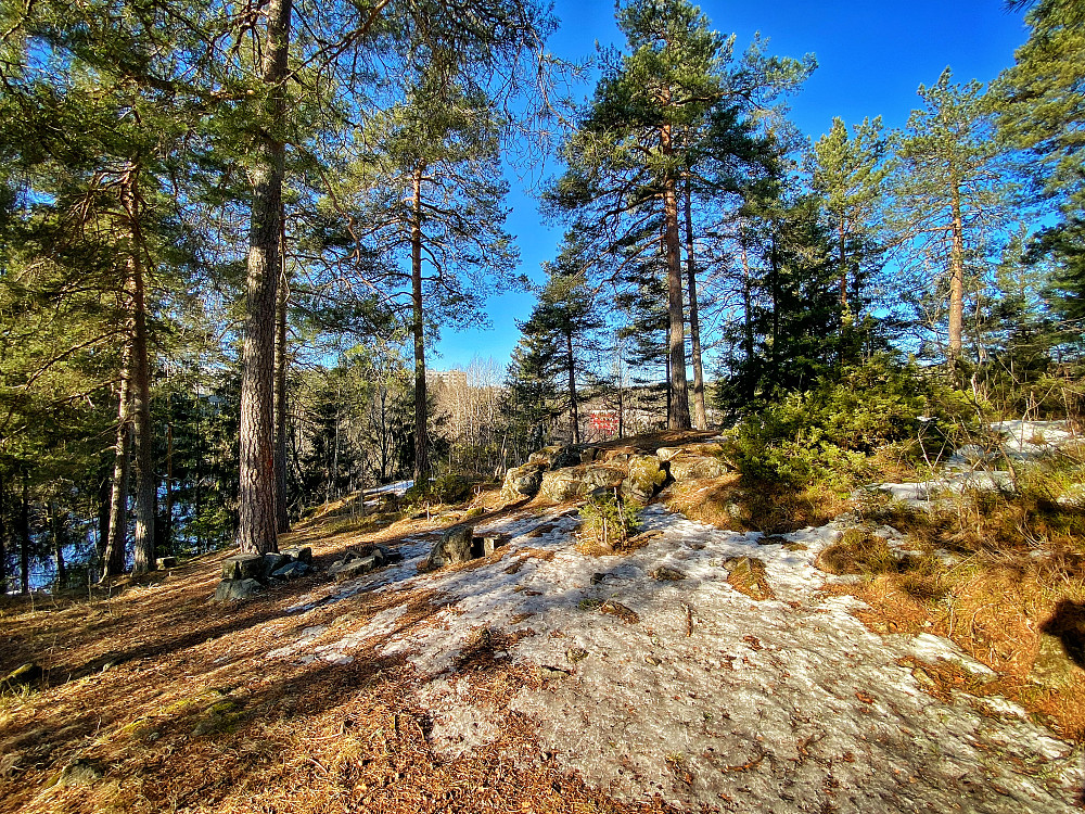 Ammerudknatten