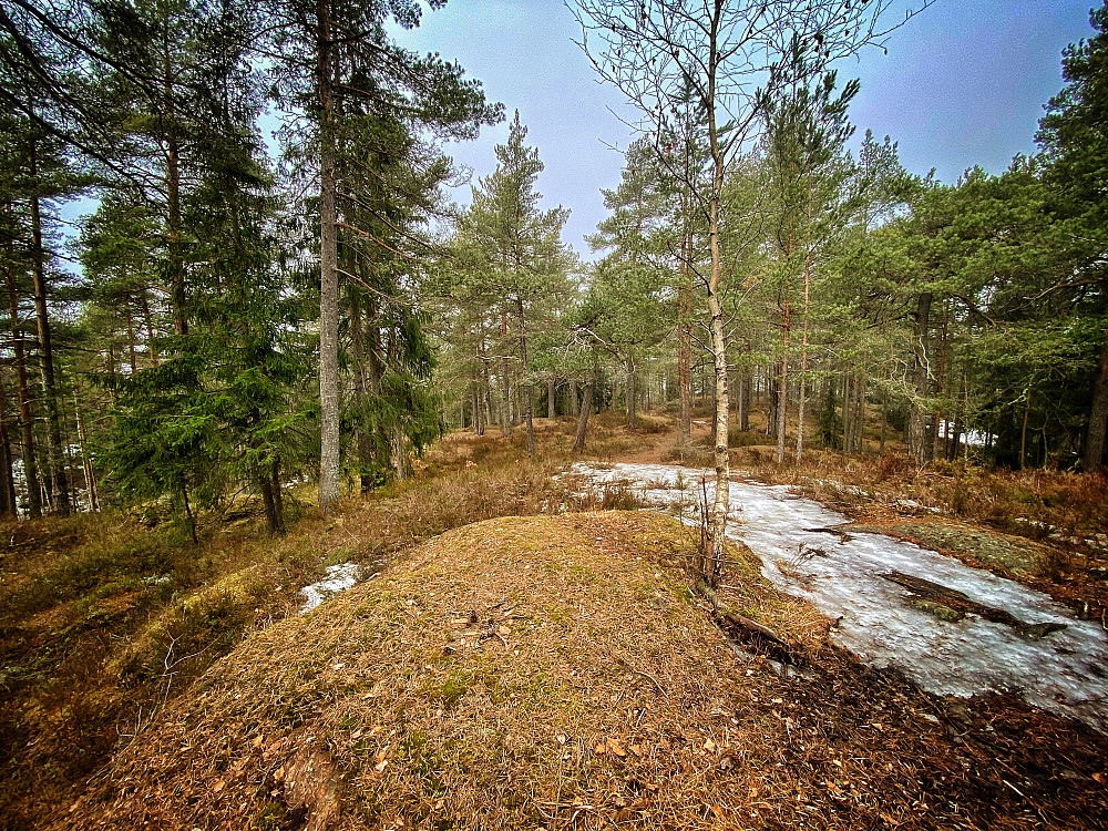 Fjellstadtoppen