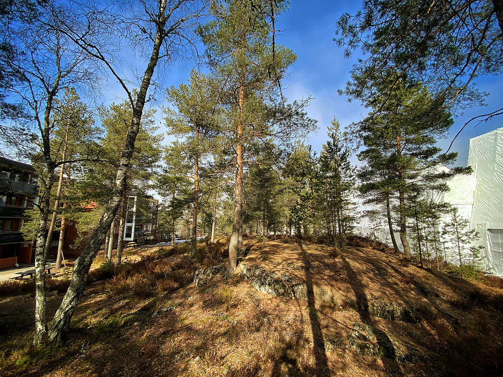 Ellingsrud