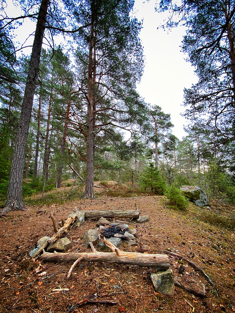 Øst for Breivoll