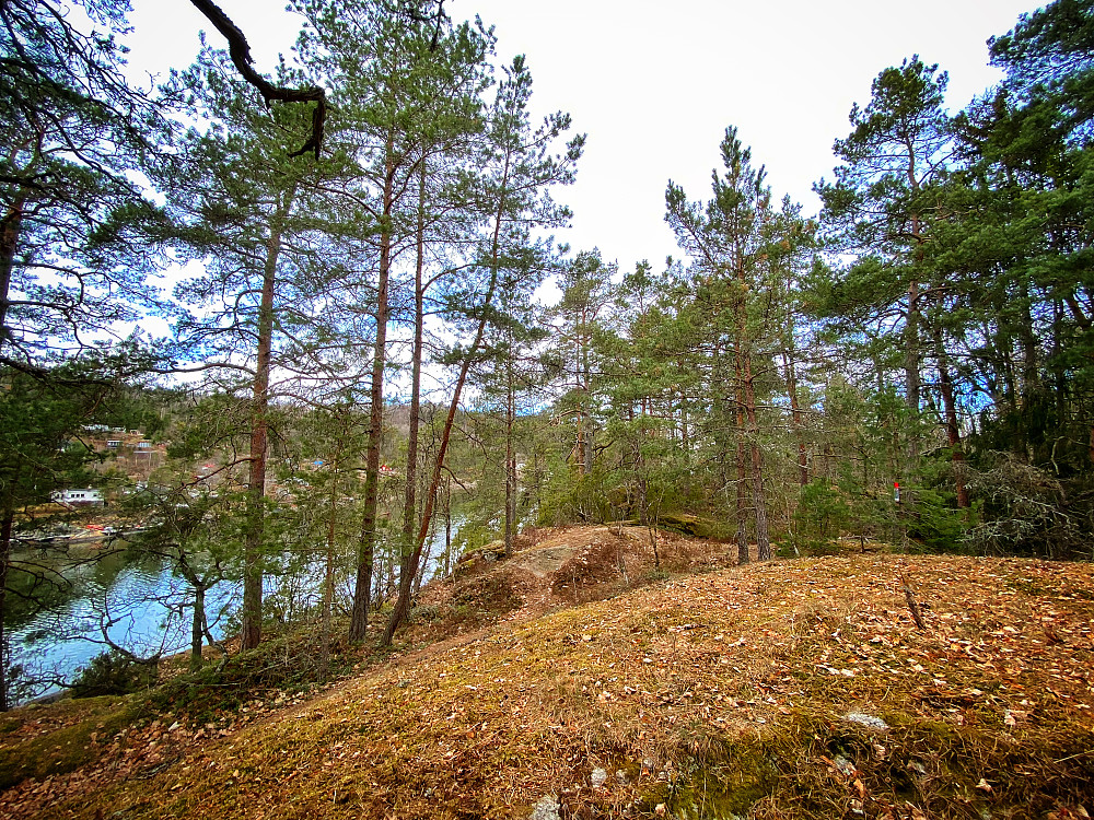 Svartlagodden
