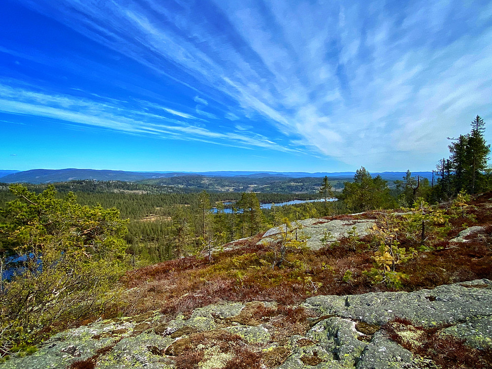 Gvitåsen 