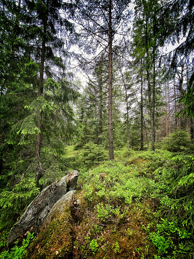 Skysethøgda Øst