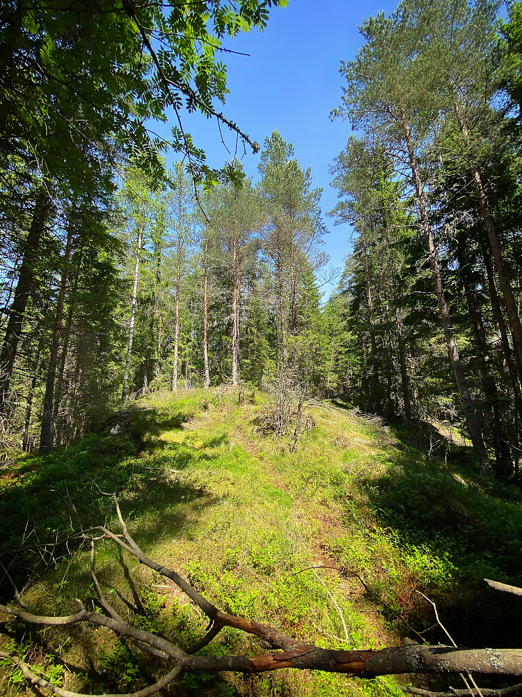 Løkkåsen