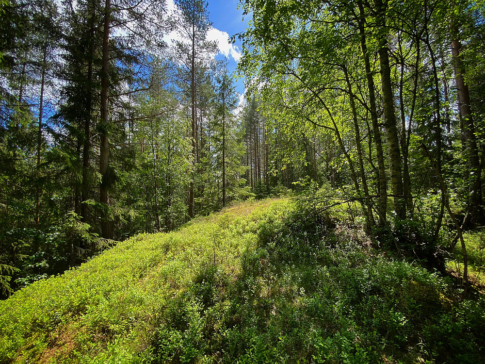 Garterudberget