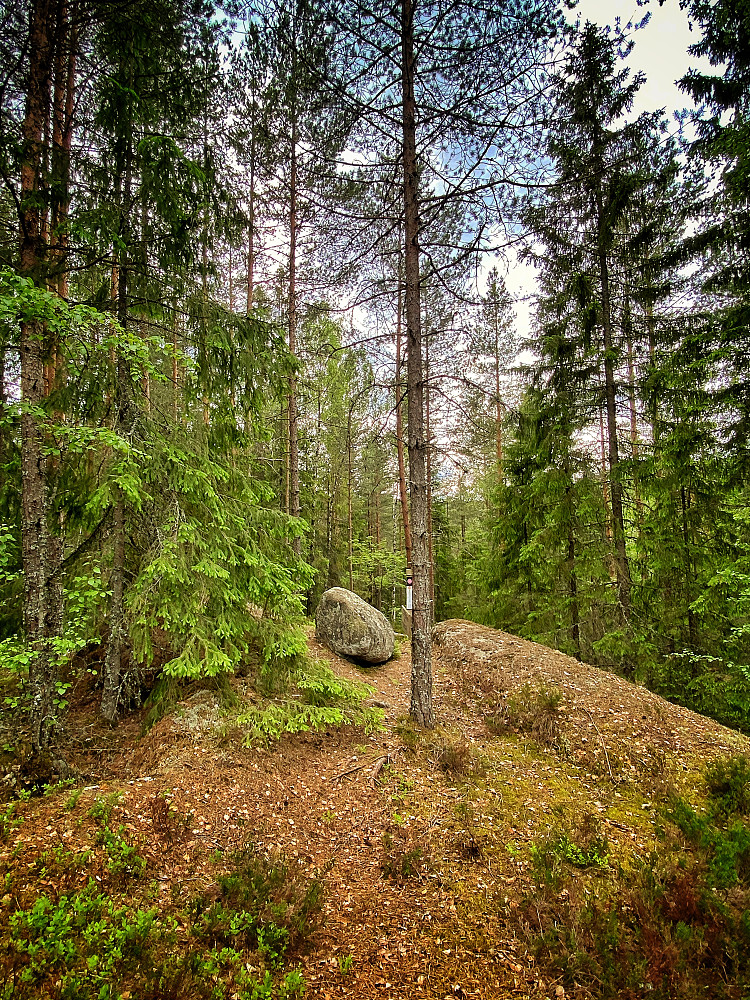 Møllerenghagan