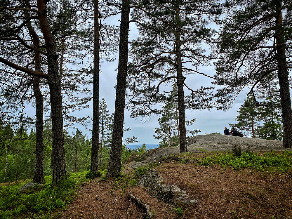 Tørrgranåsen NV Utsikt