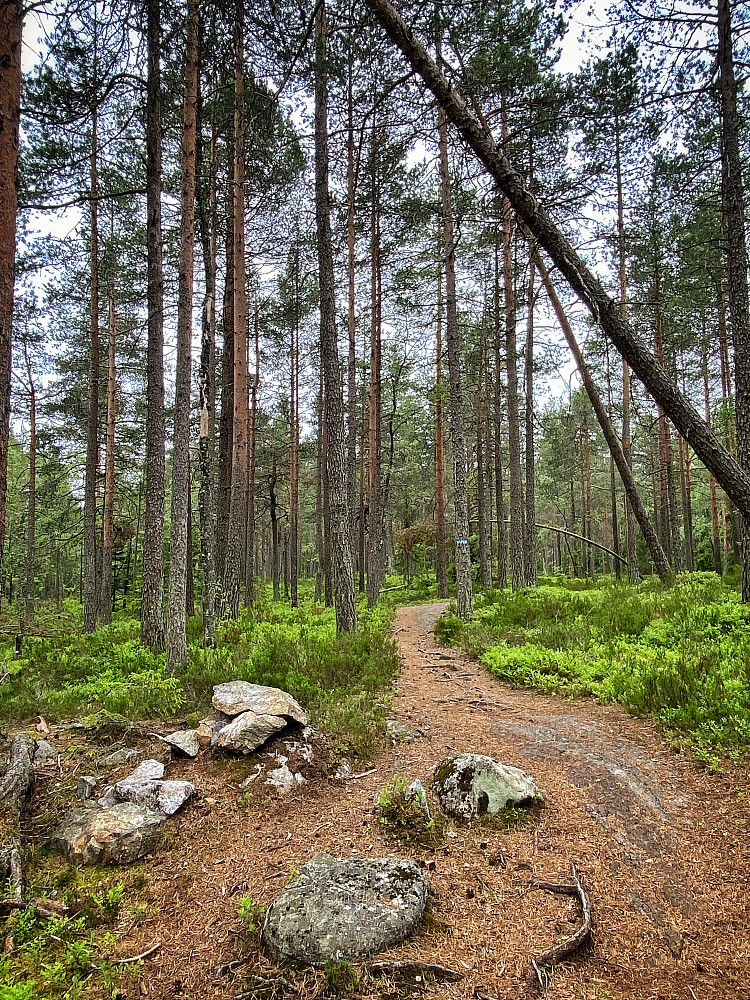 Puttåsen