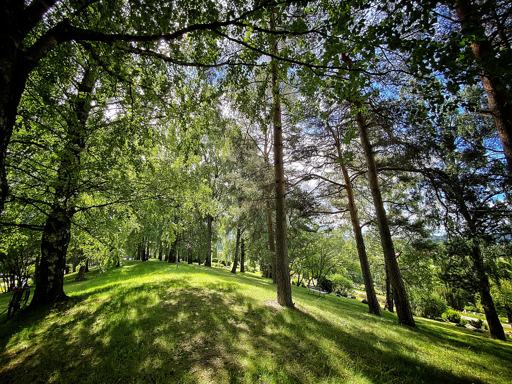 Gravlundhøgda Alfaset