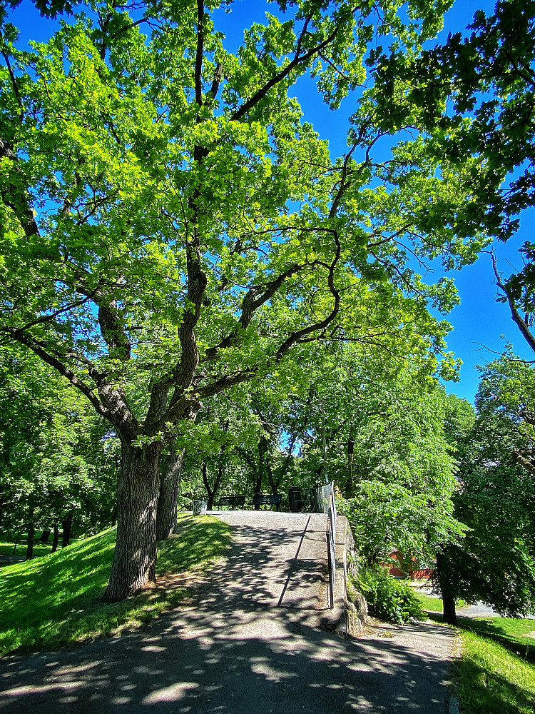 Bjølsenberget