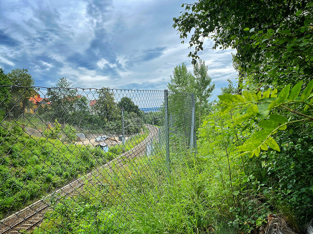 Kunstpausehaugen