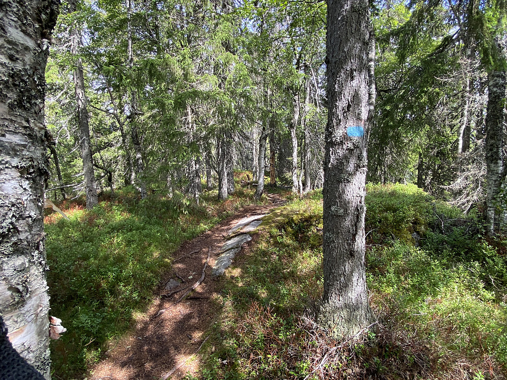Pershusfjellet Nordligste