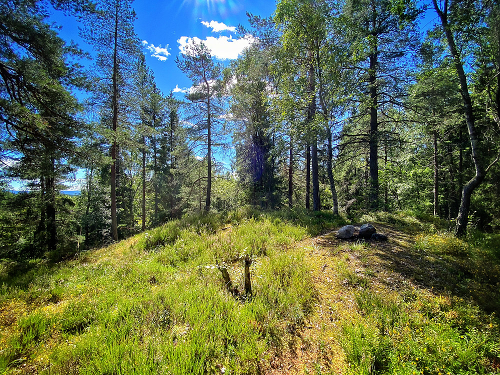 Stokkåsen
