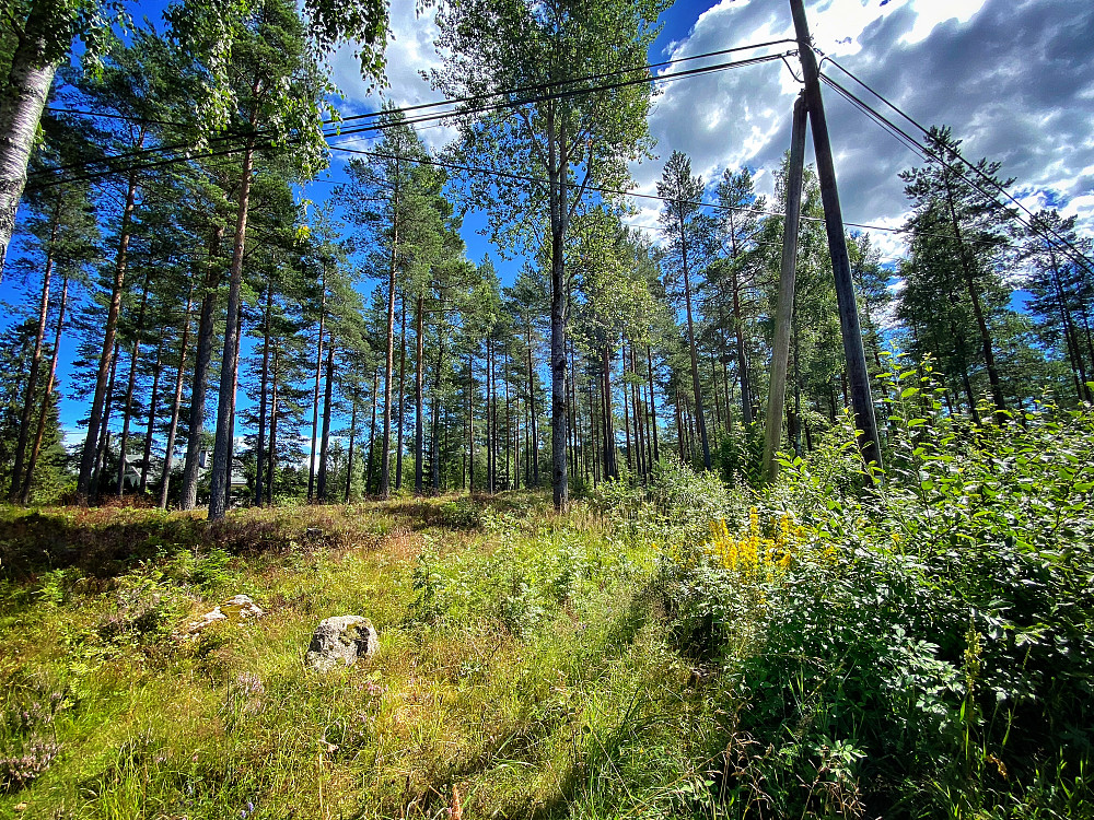 Halvorseterhøyden