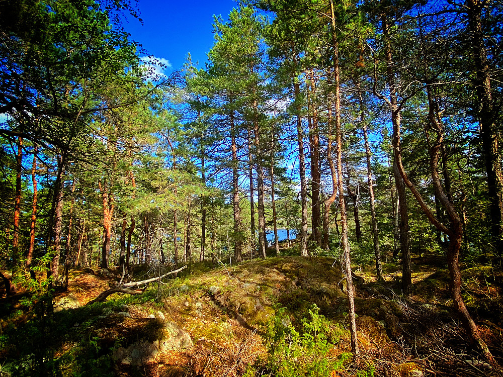 Søndre Langåra