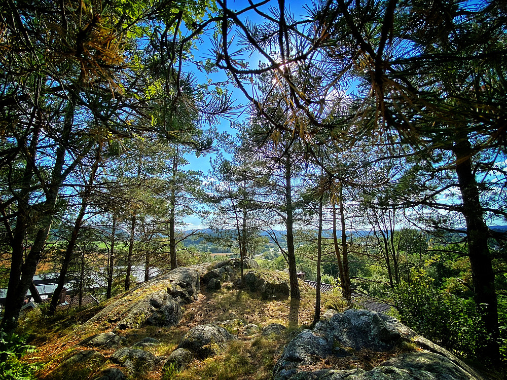 Hammerberget