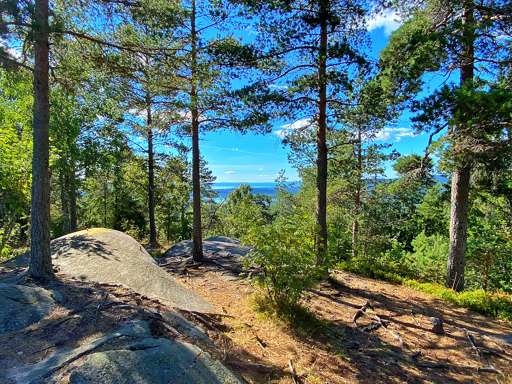 Barlindåsen øst
