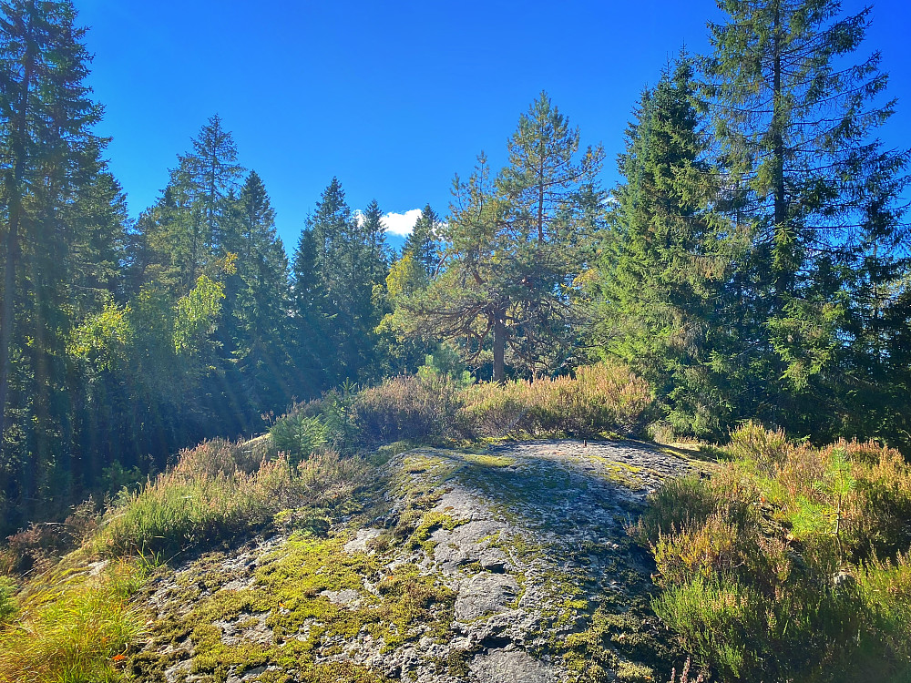 Seterhaugen
