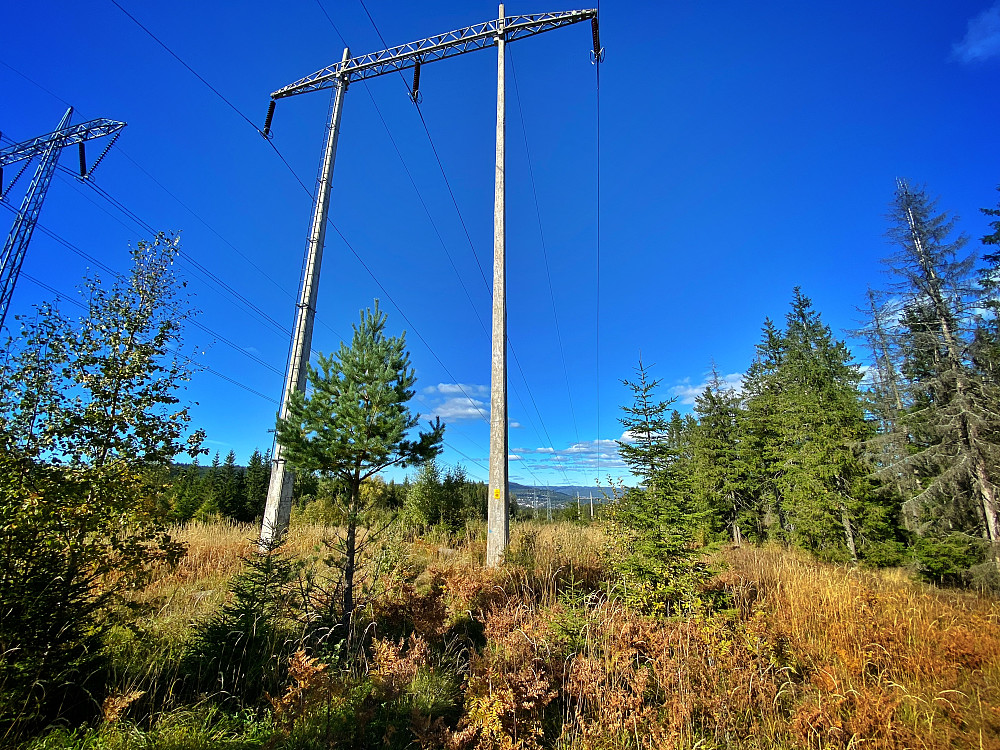 Massjørgenhøgda