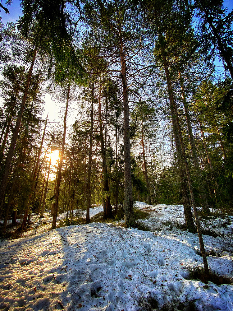 Lindebergåsen Nordvest