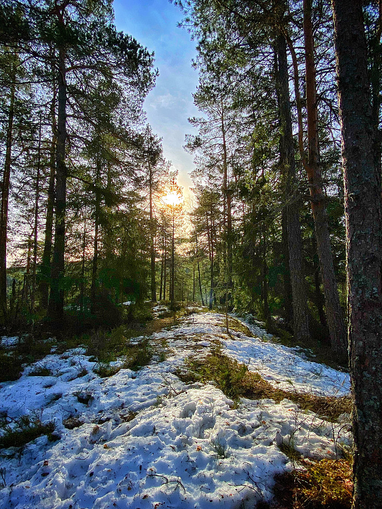 Lindebergåsen