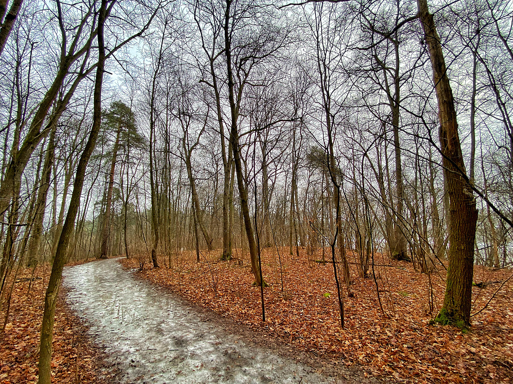 Hengsåsen Øst