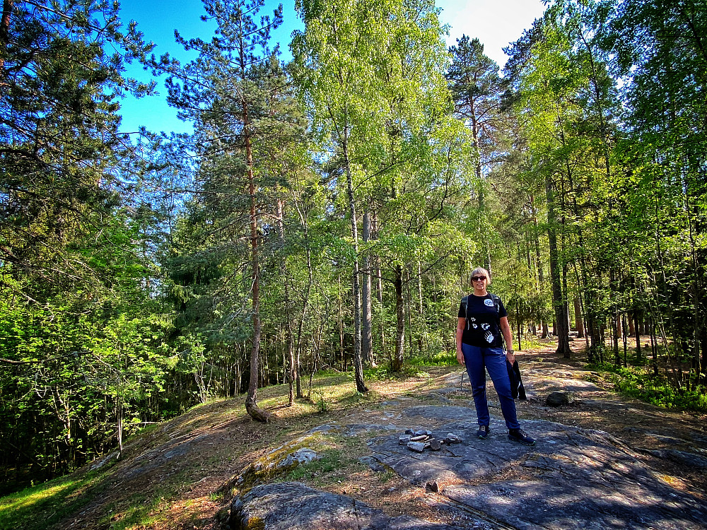Tallberget