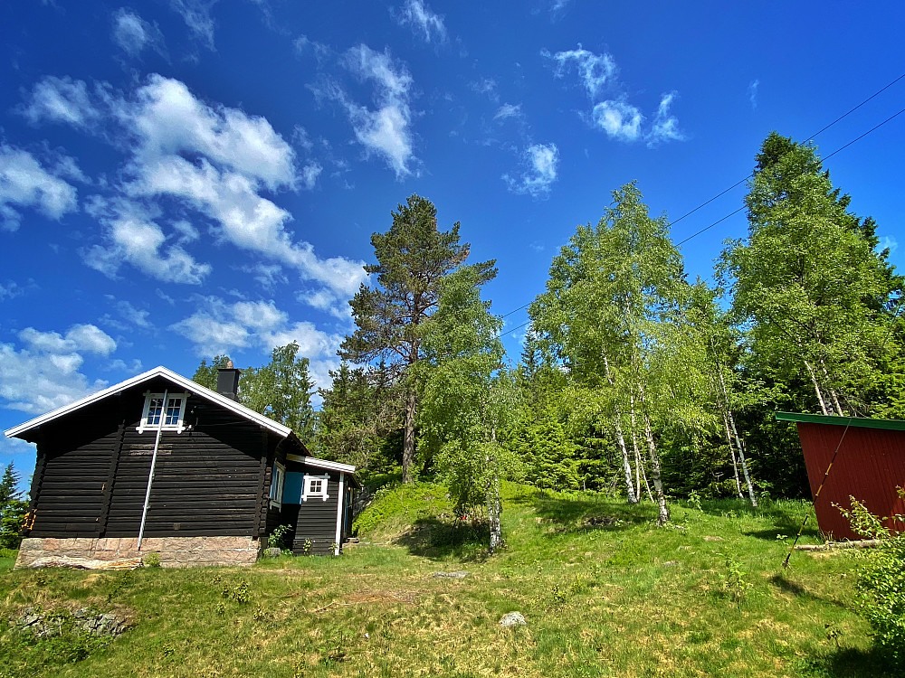Ormtjernkollen
