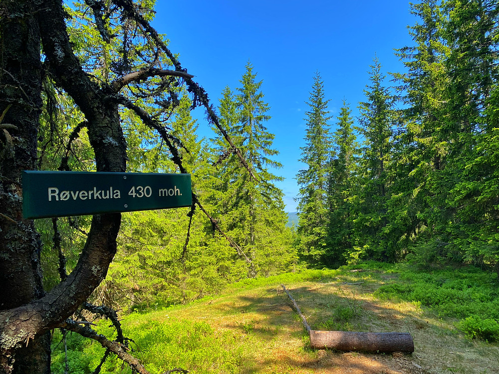 Røvarkula