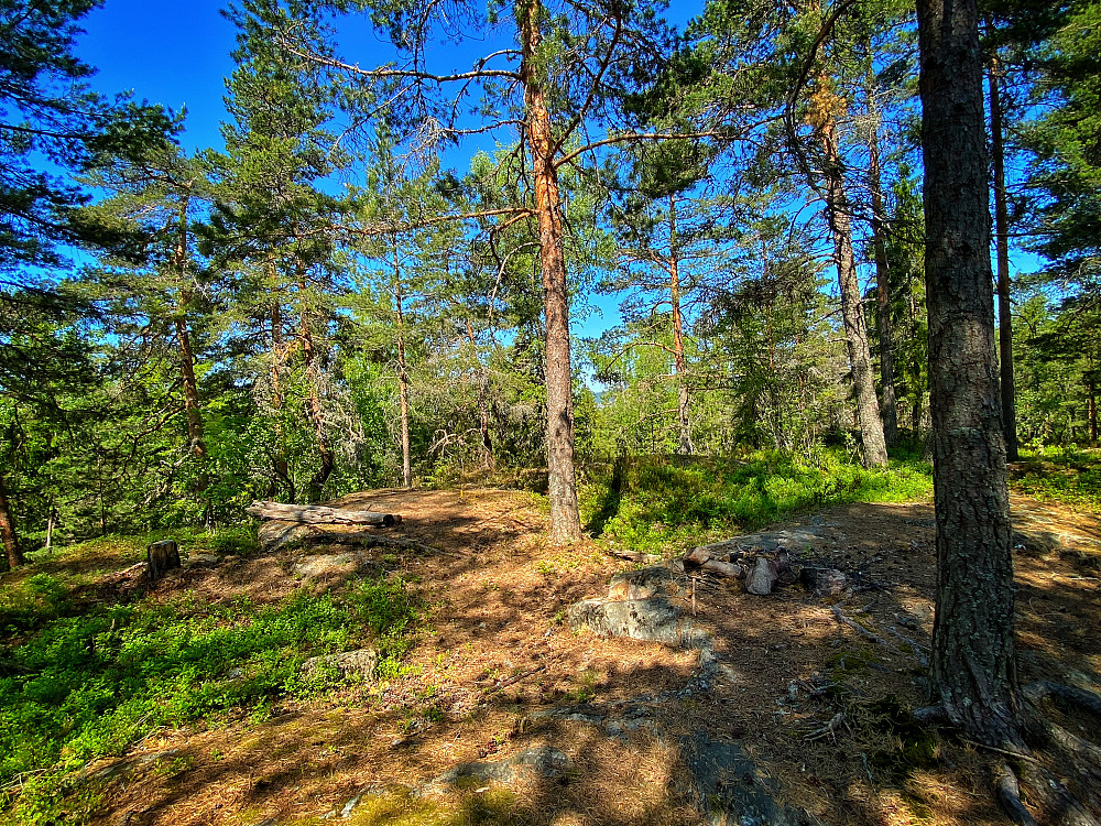 Lutvann - Sør for utsikt