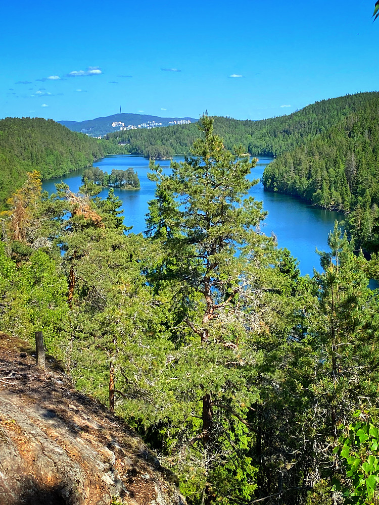 Utsikt over Lutvann
