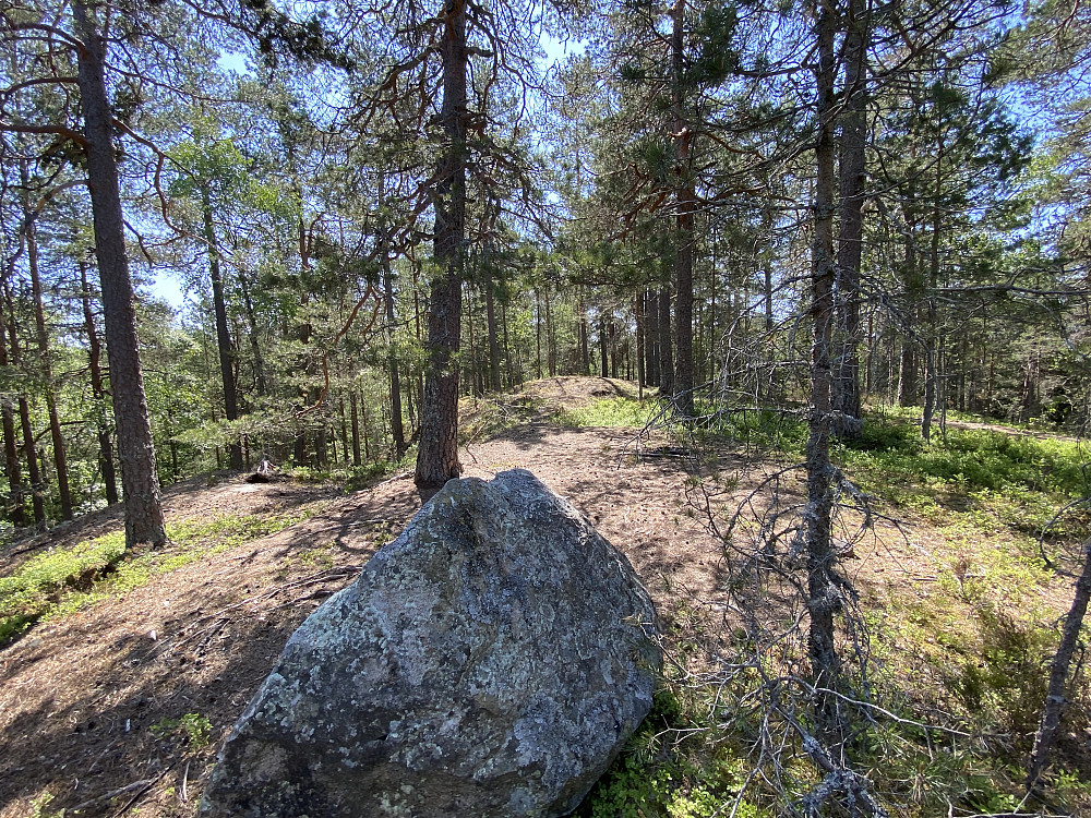 Lutvann - NØ for Rundtjern