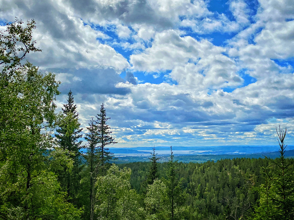 Granberget