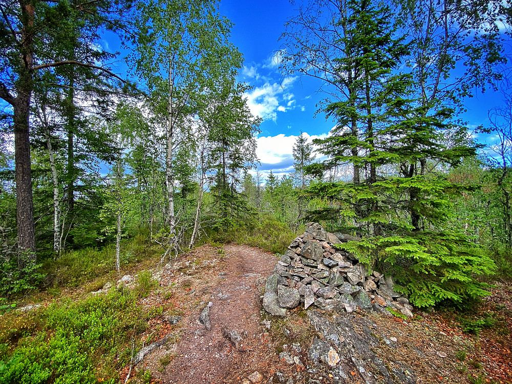 Grytlihøgda sør