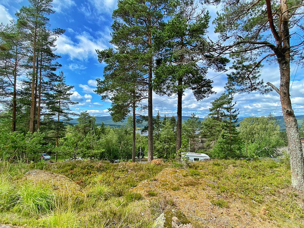 Kringlekollen