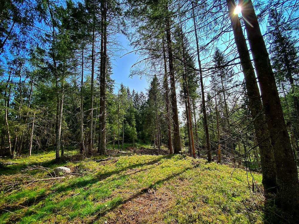 Vestre Torkilstuhøgda