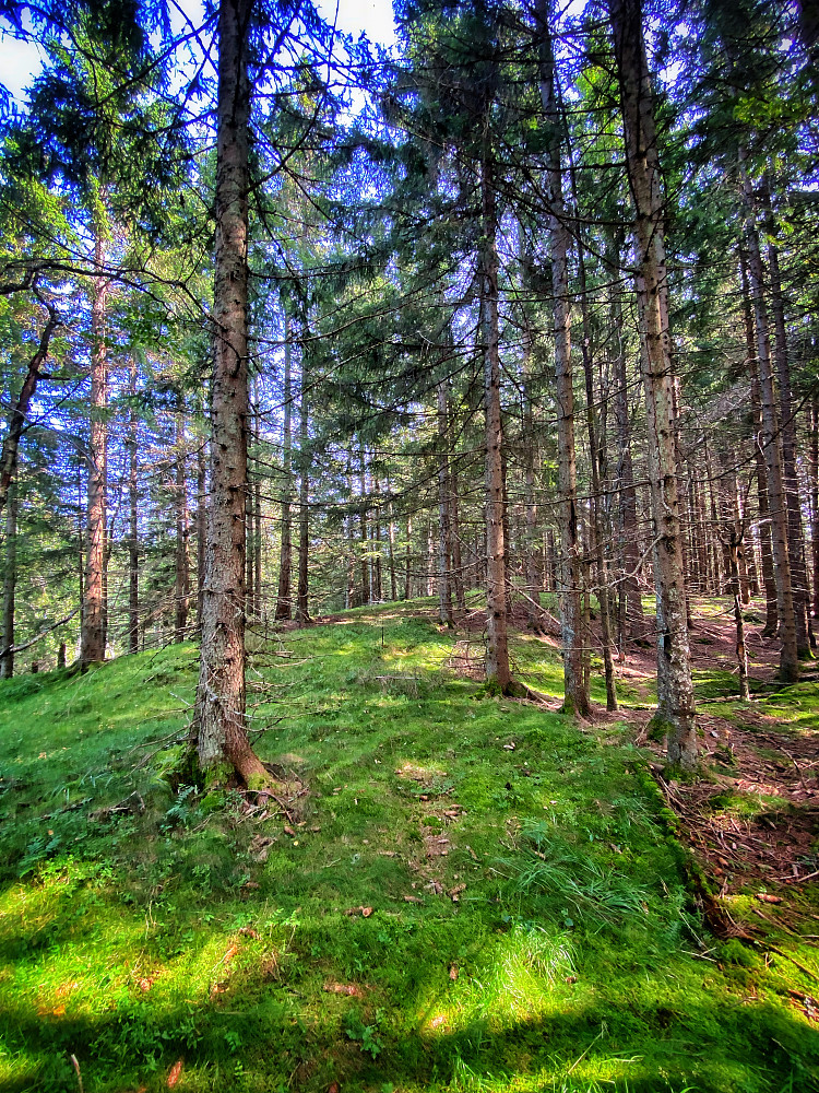 Merrahaugen