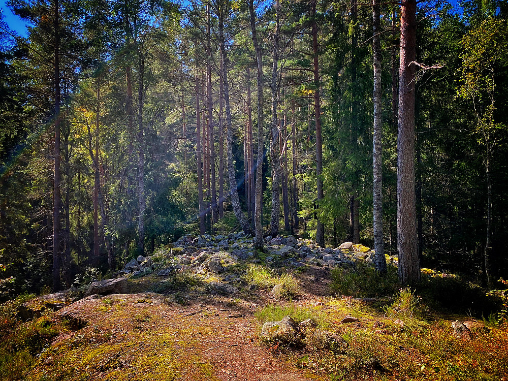 Monsetangen Bygdeborg