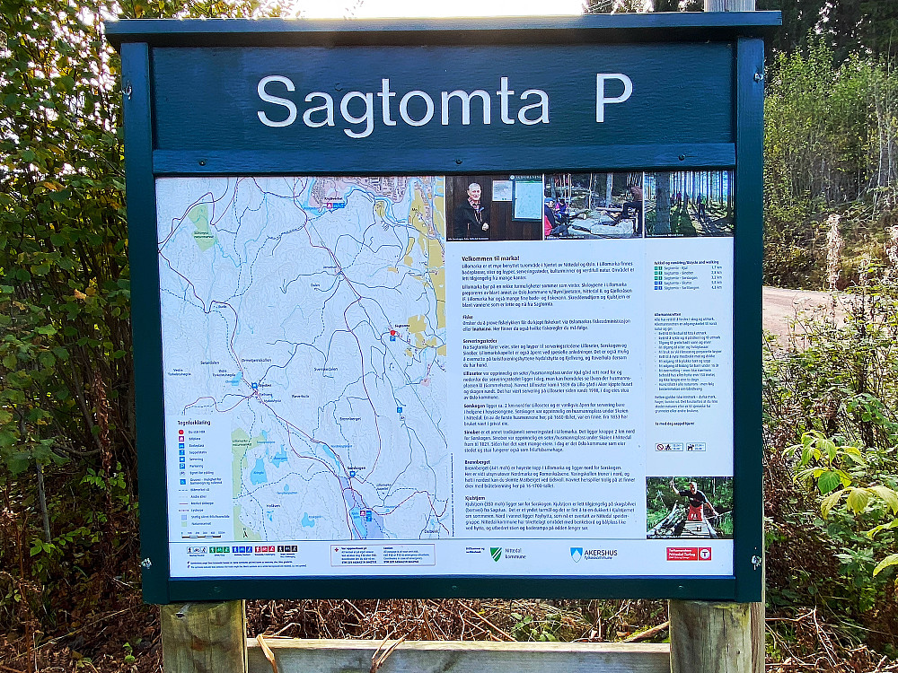 Sagtomta P