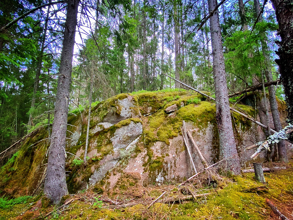Nes Bygdeborghøgda Nord