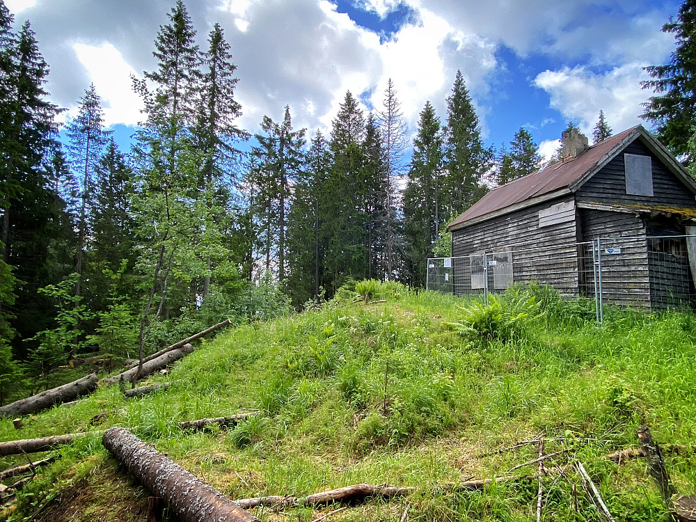 Voksenåsen (503)