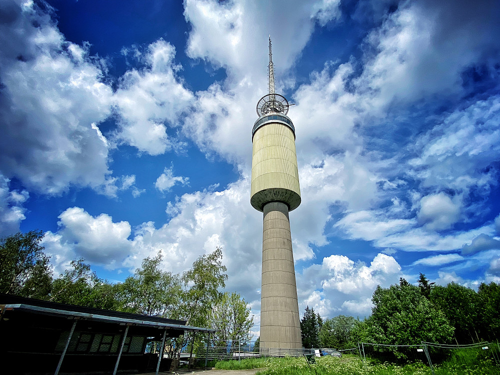 Tryvannshøgda