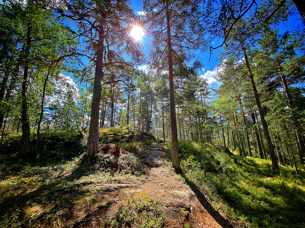 Ulsrudkollen