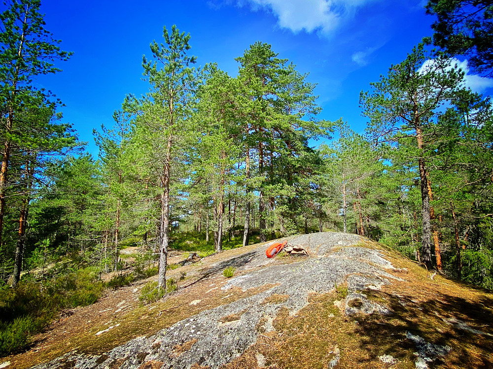 Harahaugen